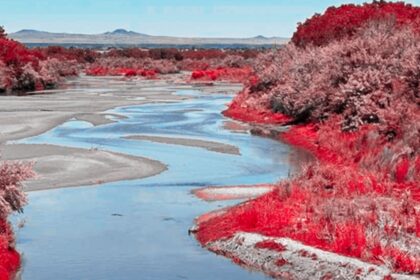 Vista del Río Grande o Río Bravo en la frontera entre Estados Unidos y México tras la aprobación de un acuerdo para reducir la extracción de agua.