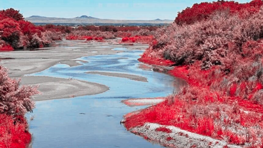 Vista del Río Grande o Río Bravo en la frontera entre Estados Unidos y México tras la aprobación de un acuerdo para reducir la extracción de agua.