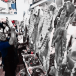 Ganado bovino en un rancho mexicano, mientras productores enfrentan una sobreoferta de carne de res y una caída en los precios del ganado en pie.