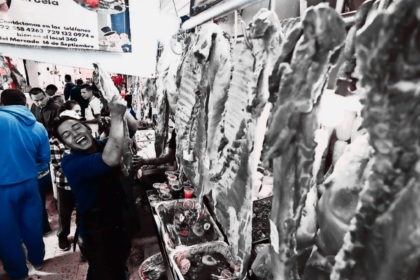 Ganado bovino en un rancho mexicano, mientras productores enfrentan una sobreoferta de carne de res y una caída en los precios del ganado en pie.