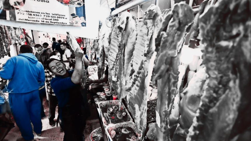 Ganado bovino en un rancho mexicano, mientras productores enfrentan una sobreoferta de carne de res y una caída en los precios del ganado en pie.