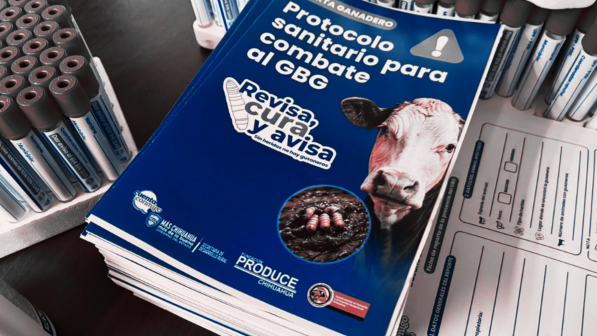Productores pecuarios reciben kits preventivos para la detección y reporte del Gusano Barrenador del Ganado durante la estrategia de vigilancia sanitaria de la Secretaría de Desarrollo Rural.