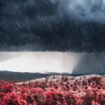 Campo agrícola afectado por altas temperaturas y sequía, mientras el fenómeno de El Niño amenaza con elevar los precios de los alimentos en México.